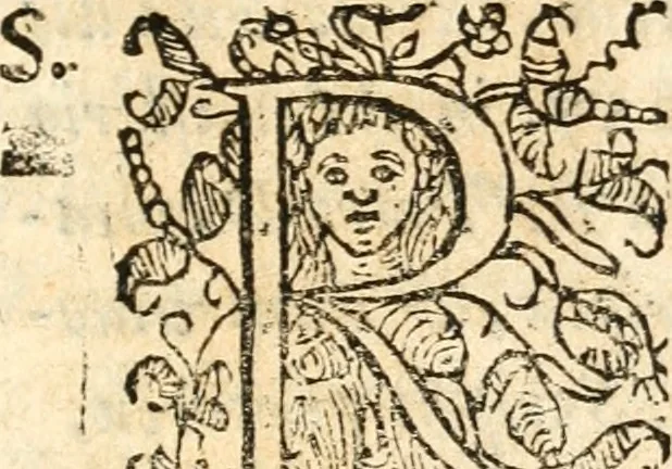 An illustration from Catalogus sanctorum et beatorum totius ordinis Camaldulensis : in quo etiam religionis initium, & viri dignitate atq[ue] virtutibus clari describuntur, 1606, leaf 8