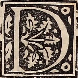 An illustration from Catalogus sanctorum [et] gestorum eoru[m] ex diuersis voluminibus collectus: editus a reuere[n]dissimo in [Christo] patre domino Petro de natalibus de venetijs dei gratia e[pisco]po Equilino, 1506, leaf 496