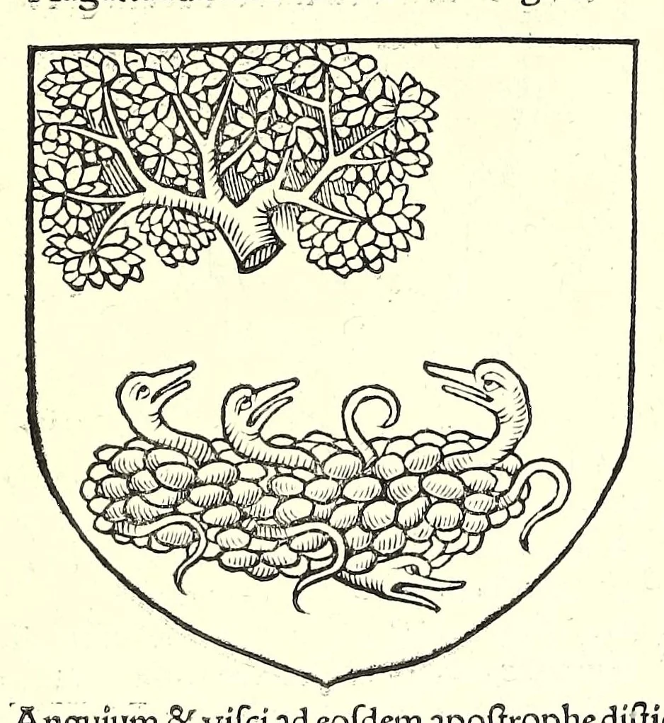 An illustration from Catalogvs gloriae mundi : laudes, honores, excellentias, ac pre̜eminentias omniũ fere statuũ, plurimarumq[ue] rerũ illius continẽs, 1546, leaf 66