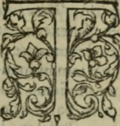 An illustration from Catechisme et sommaire de la religion chrestinne : fait par l'ordonnance et decret du S. Concile de Trente, qui commande à tous Curez de l'enseigner au peuple, 1583, leaf 16