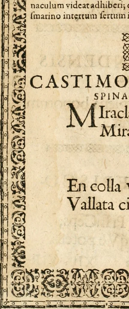 An illustration from Catena aurea virtutum episcopalium : anathema diuinae gloriae ad aras caelestium gratiarum affixum : nec non reverendissimo atque illustrissimo S. Rom. Imperii principi ac domino, D. Francisco Guilielmo episcopo Osnabrugensi et Verdensi, praeposito Ratisbonensi etc., comiti de Wartenberg, domino in Waldt, &c. : cum anno reparatae salutis humanae M.DC.XXXI. novi episcopatus Mindensis, novam mitram, clavemq[ue] sibi a sanctiss. d. n. Urbano papa VIII. oblatam ab invictissimo imperatore Ferdinando II. confirmatam, acceptaret, oblatum ac consecratum ab eiusdem Suae Celsitudinis Collegio Societatis Jesu Osnabrugi fundato, 1631, leaf 65