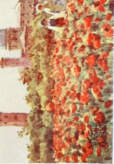 An illustration from Cathedral cities of Italy, 1911, leaf 200