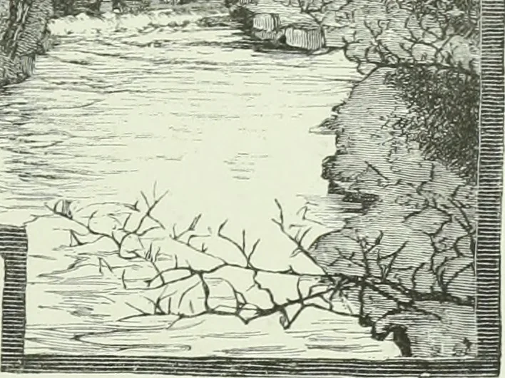 An illustration from Cathedrals, abbeys and churches of England and Wales : descriptive, historical, pictorial, 1890, leaf 208