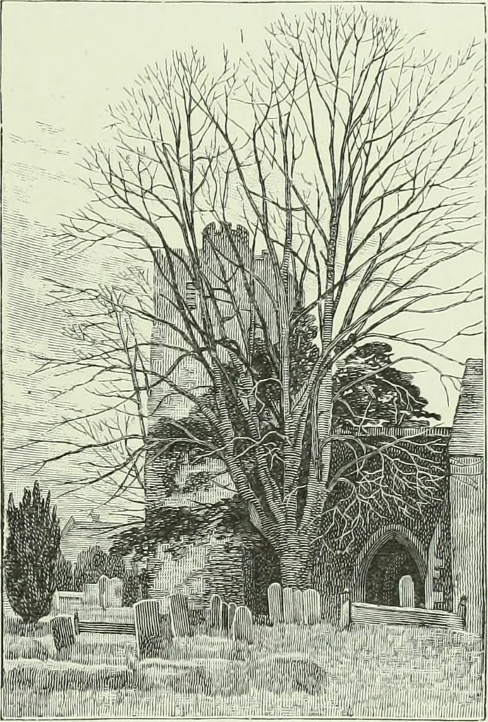 An illustration from Cathedrals, abbeys and churches of England and Wales : descriptive, historical, pictorial, 1890, leaf 168