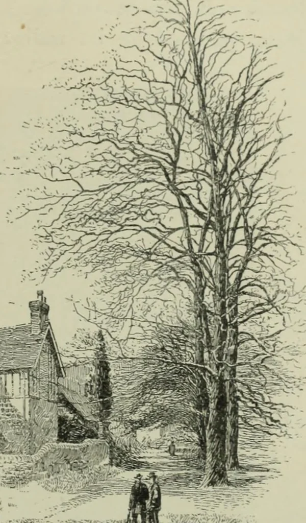 An illustration from Cathedrals, abbeys and churches of England and Wales, descriptive, historical, pictorial, 1896, leaf 200