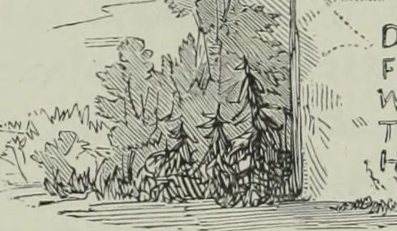 An illustration from Cathedrals, abbeys and churches of England and Wales, descriptive, historical, pictorial, 1896, leaf 217