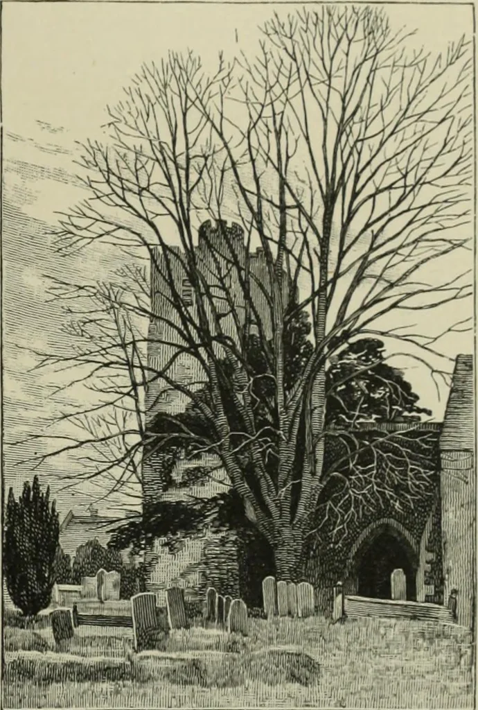 An illustration from Cathedrals, abbeys and churches of England and Wales, descriptive, historical, pictorial, 1896, leaf 46