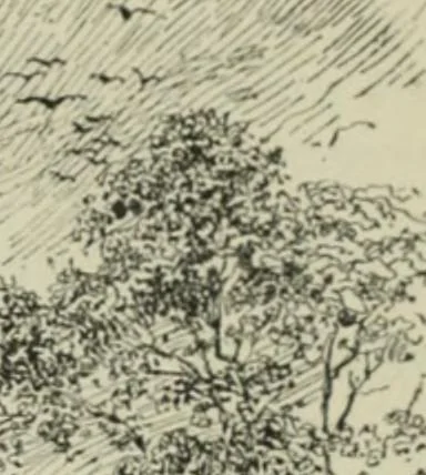 An illustration from Cathedrals, abbeys and churches of England and Wales, descriptive, historical, pictorial, 1896, leaf 488
