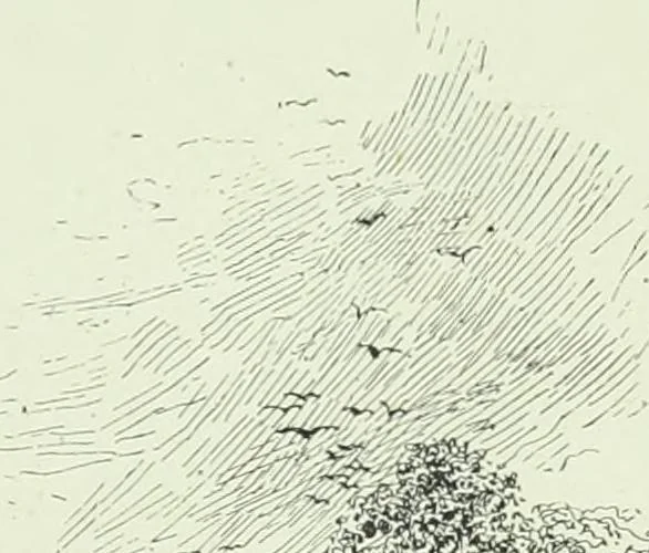 An illustration from Cathedrals, abbeys and churches of England and Wales : descriptive, historical, pictorial, 1890, leaf 312