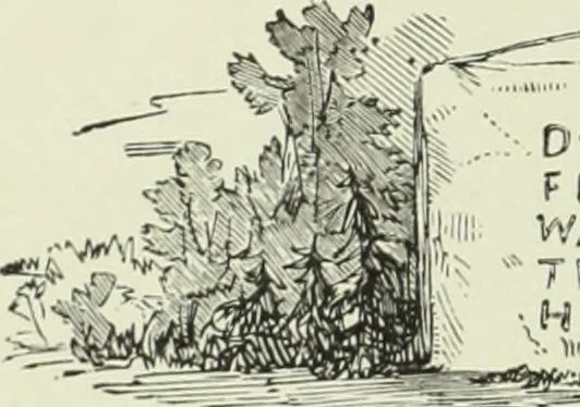 An illustration from Cathedrals, abbeys and churches of England and Wales : descriptive, historical, pictorial, 1890, leaf 45