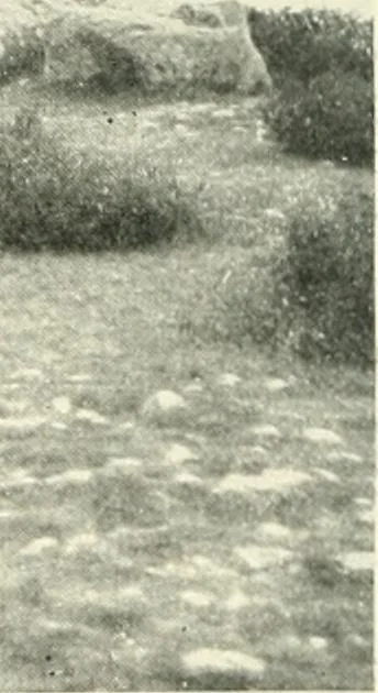 An illustration from Cathedrals and cloisters of the Isle de France, 1910, leaf 45