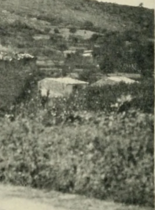 An illustration from Cathedrals and cloisters of the south of France, 1906, leaf 229