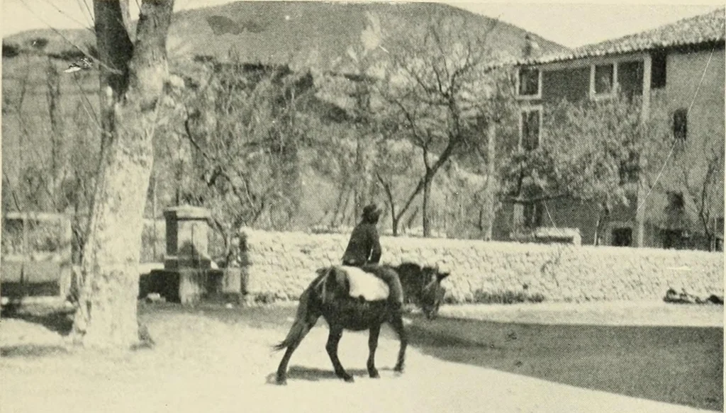 An illustration from Cathedrals and cloisters of the south of France, 1906, leaf 240