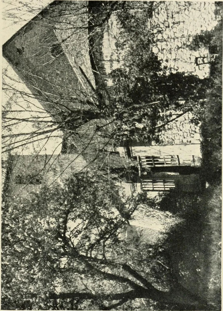 An illustration from Cathedrals and cloisters of the south of France, 1906, leaf 248