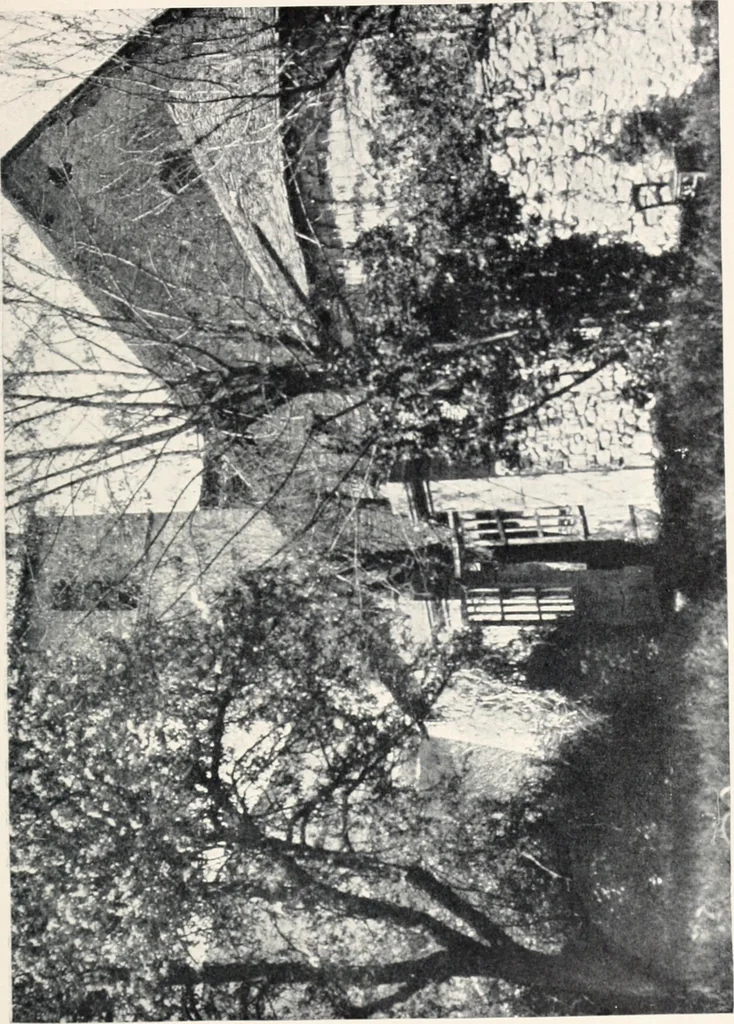 An illustration from Cathedrals and cloisters of the south of France, 1906, leaf 248