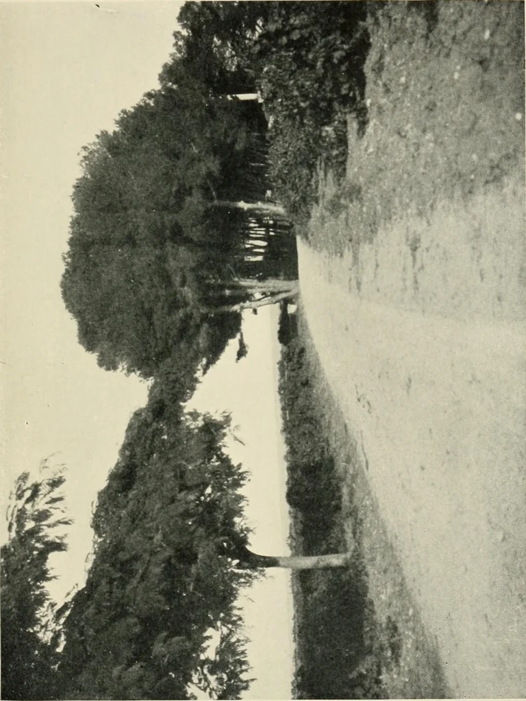 An illustration from Cathedrals and cloisters of the south of France, 1906, leaf 172
