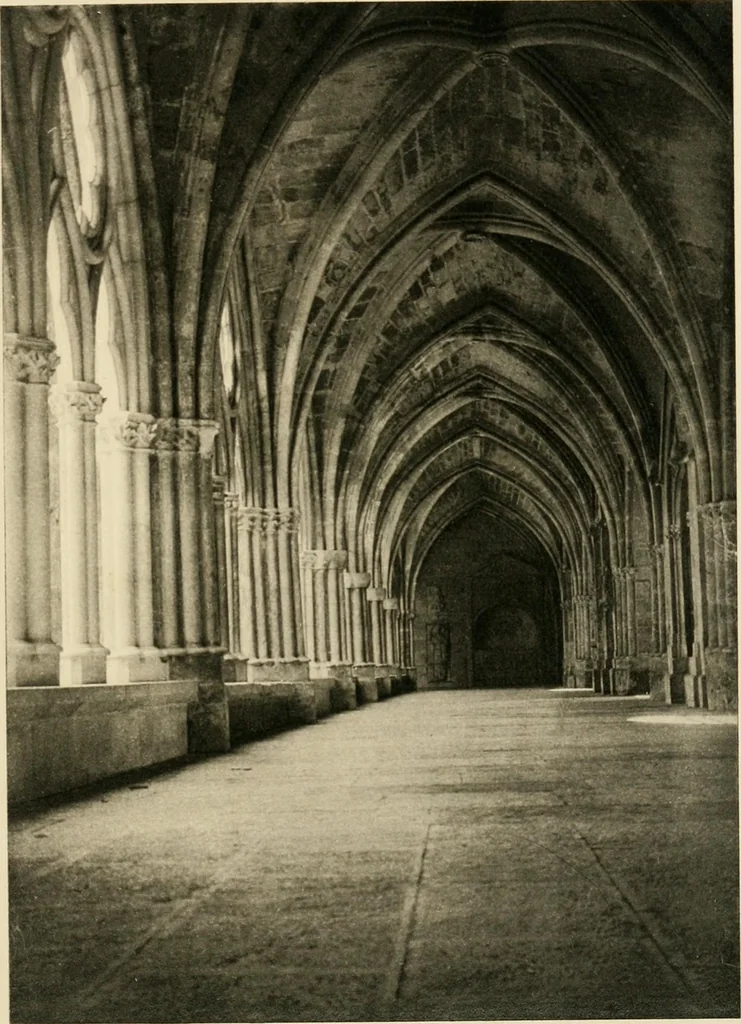 An illustration from Cathedrals and cloisters of the south of France, 1906, leaf 208