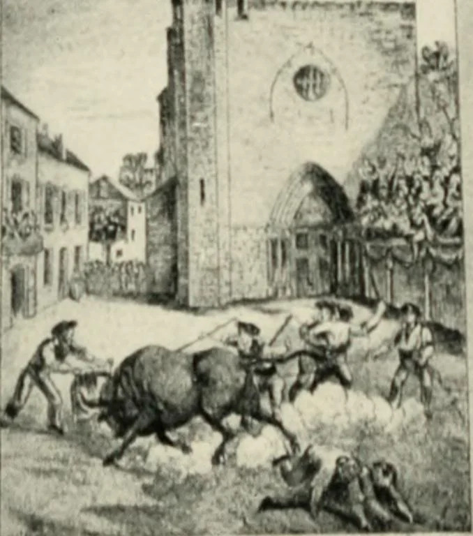An illustration from Cathedrals and cloisters of the south of France, 1906, leaf 217