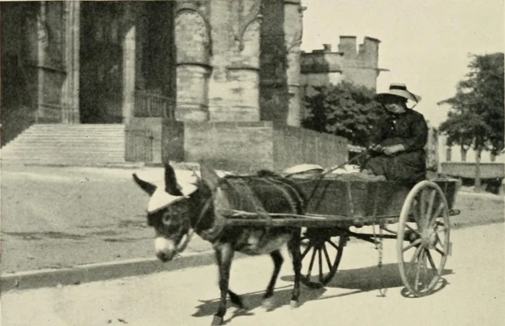 An illustration from Cathedrals and cloisters of the south of France, 1906, leaf 59