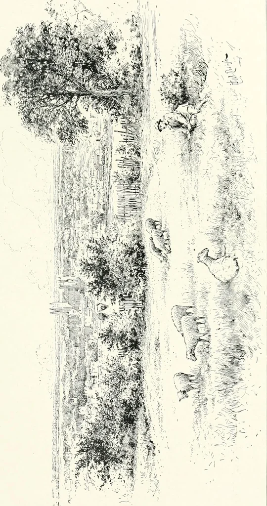 An illustration from The Cathedrals of England and Wales : their history, architecture, and associations ; with a series of Rembrandt plates and many illustrations in the text, 1906, leaf 28