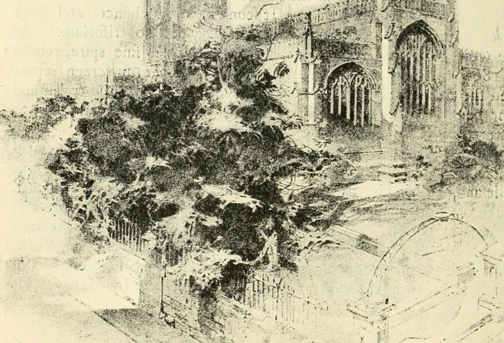 An illustration from The cathedrals of Great Britain, their history and architecture, 1902, leaf 349