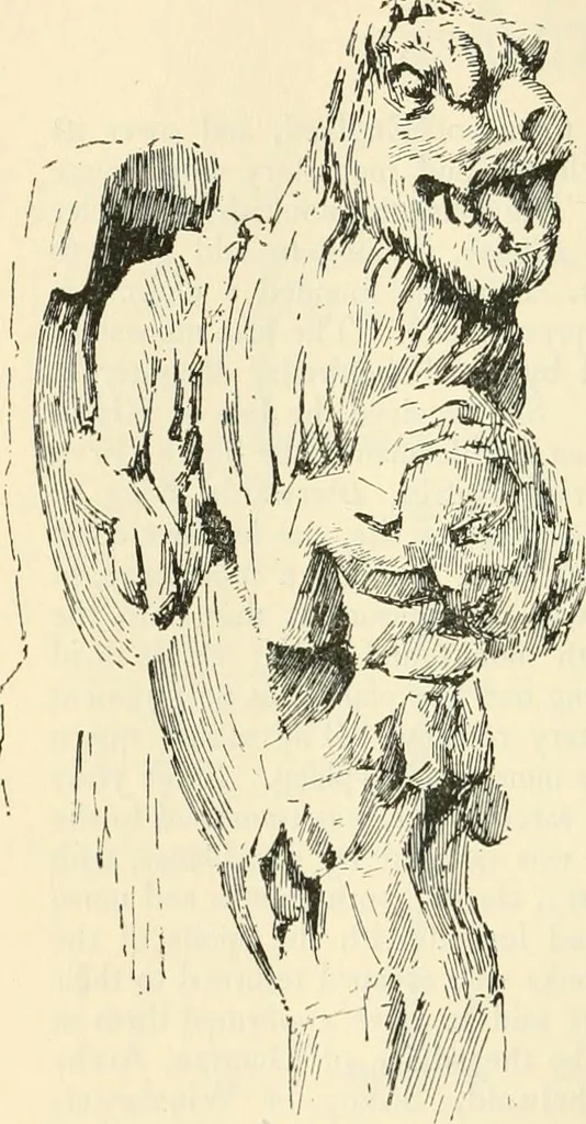 An illustration from The cathedrals of Great Britain, their history and architecture, 1902, leaf 393