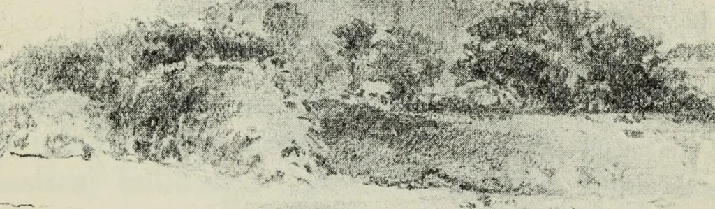 An illustration from The cathedrals of Great Britain, their history and architecture;, 1904, leaf 320