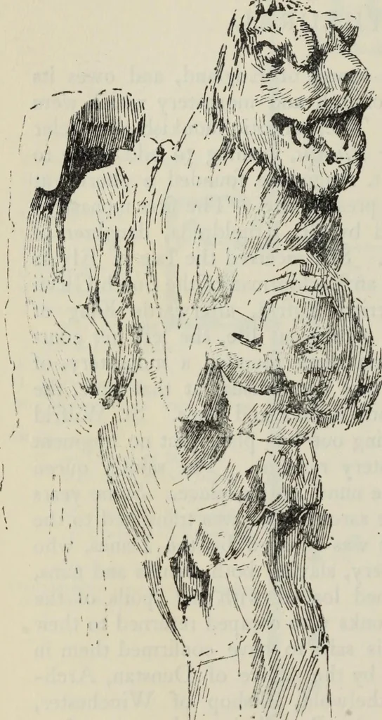 An illustration from The cathedrals of Great Britain, their history and architecture;, 1904, leaf 399