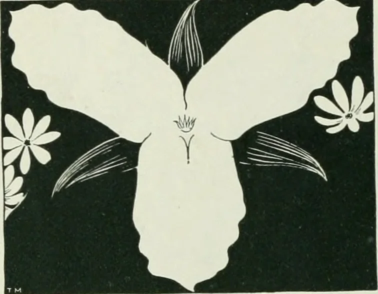 An illustration from The cathedrals and other churches of Great Britain, 1911, leaf 1