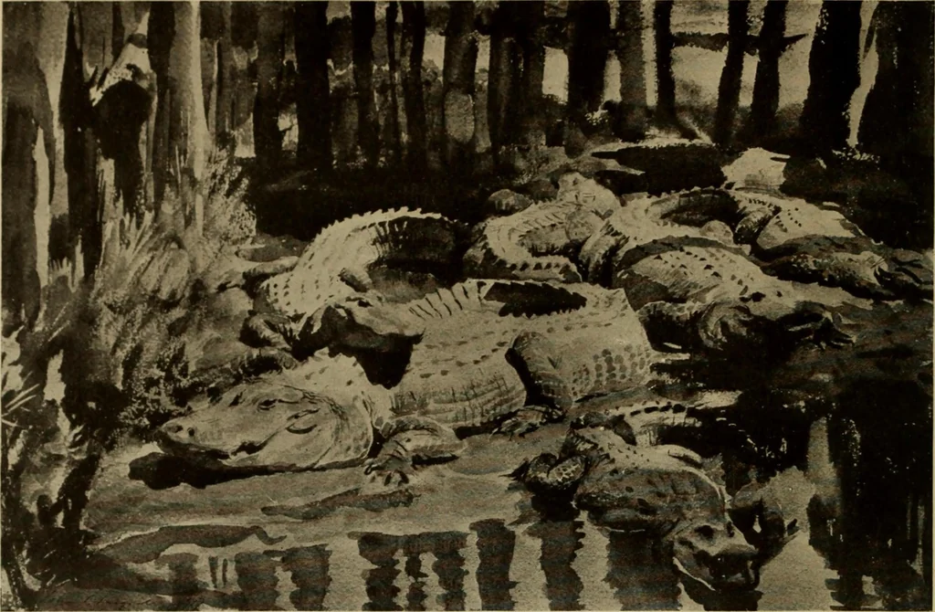 An illustration from Catalogue of paintings and drawings., 1922, leaf 153