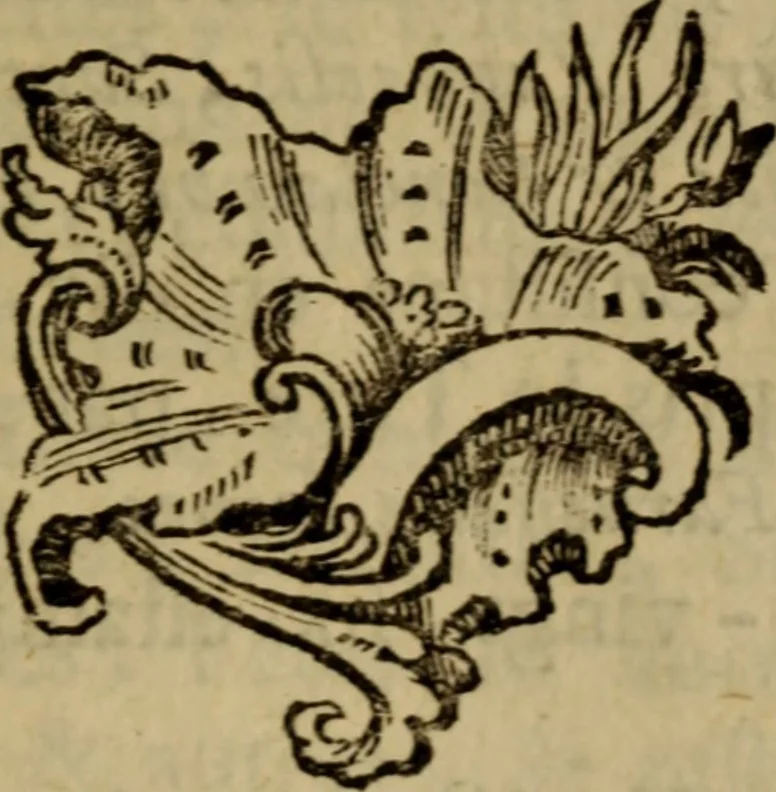 An illustration from Catalogue d'une tres-riche et tres-nombreuse collection d'estampes et desseins, tant relie's qu'autres : contenant tout ce qu'il y a de plus rare des maîtres & des ecoles italienne, lombarde, allemande, flamande, françoise, angloise & hollandoise, recueillie depuis nombre d'années avec beaucoup d'exactitude ; dont la vente se fera à Bruxelles lundi 15 avril 1765 & jours suivans .., 1765, leaf 216