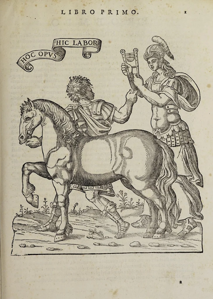 An illustration from Cauallo frenato, 1602, leaf 177