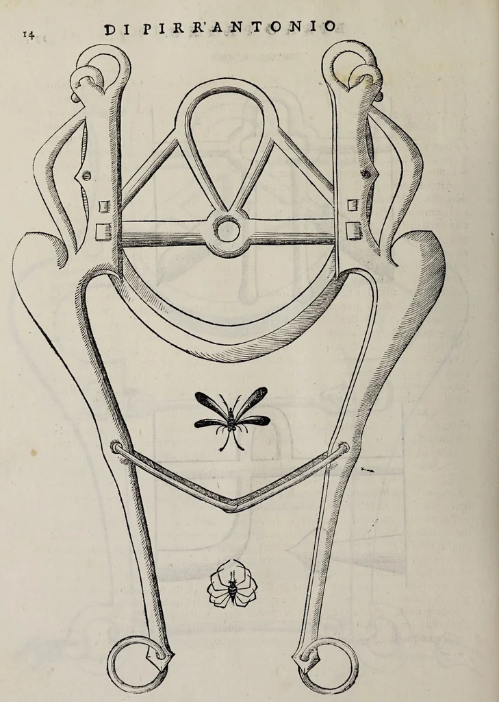 An illustration from Cauallo frenato, 1602, leaf 190