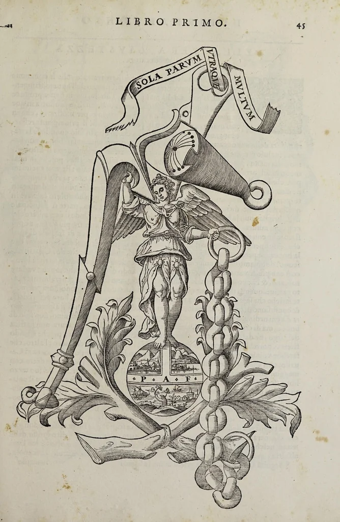 An illustration from Cauallo frenato, 1602, leaf 221