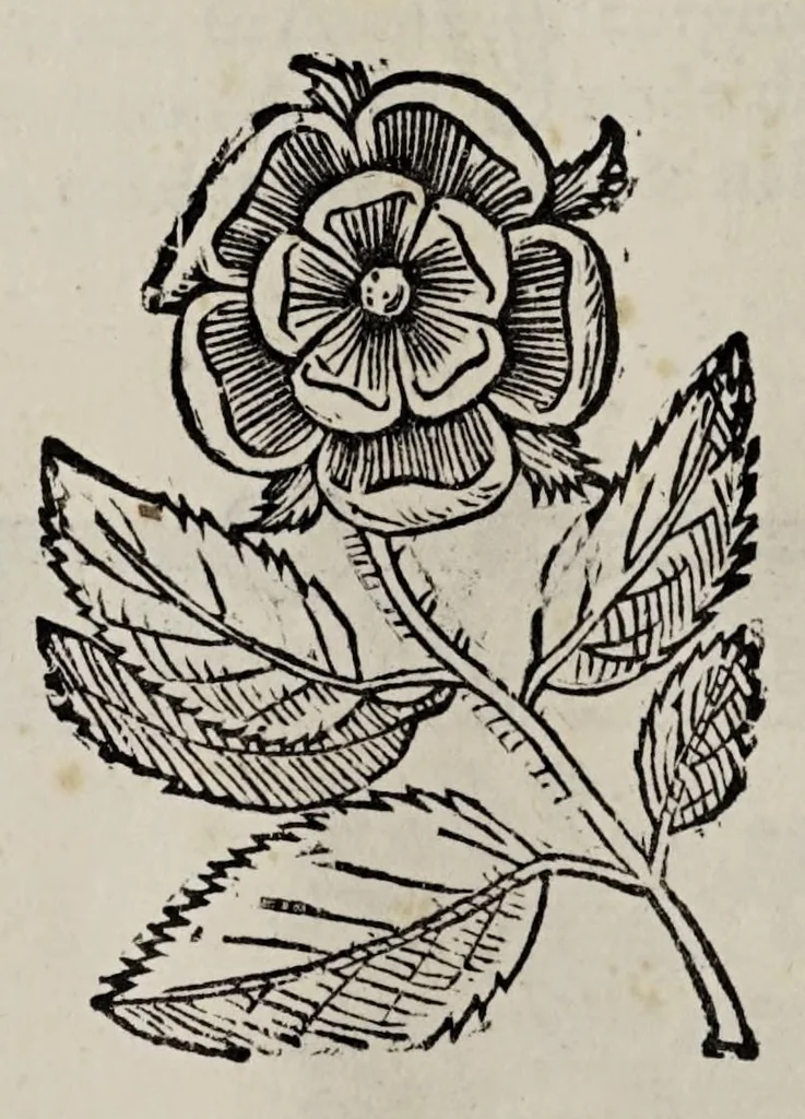 An illustration from Cauallo frenato, 1602, leaf 228