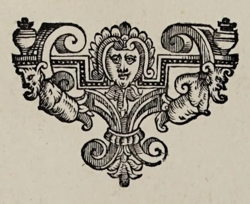An illustration from Cauallo frenato, 1602, leaf 232