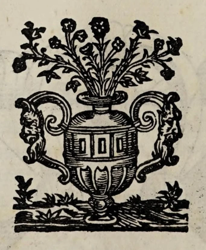 An illustration from Cauallo frenato, 1602, leaf 248