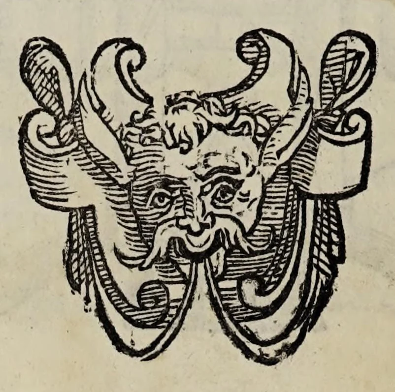 An illustration from Cauallo frenato, 1602, leaf 256