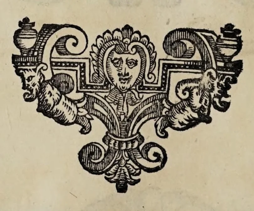 An illustration from Cauallo frenato, 1602, leaf 256