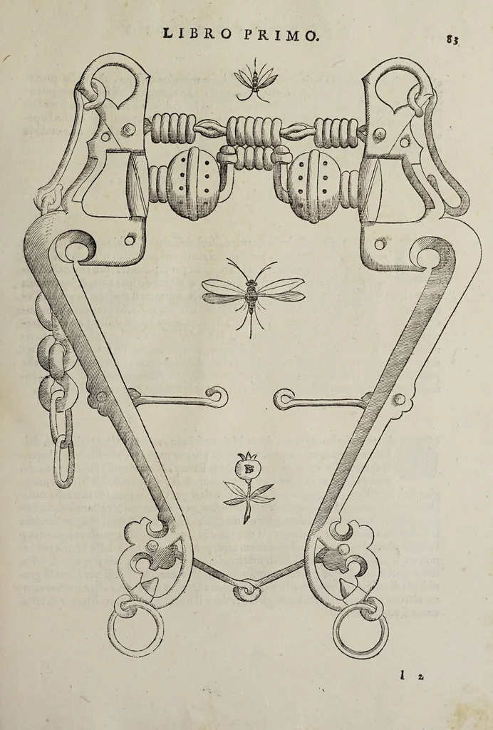 An illustration from Cauallo frenato, 1602, leaf 259