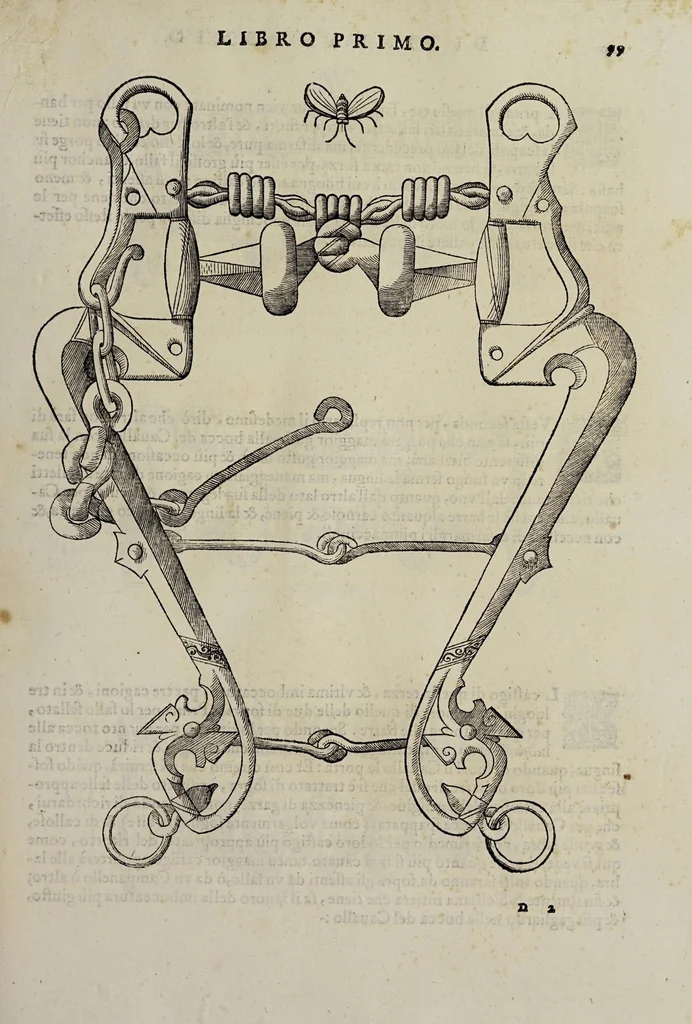 An illustration from Cauallo frenato, 1602, leaf 275