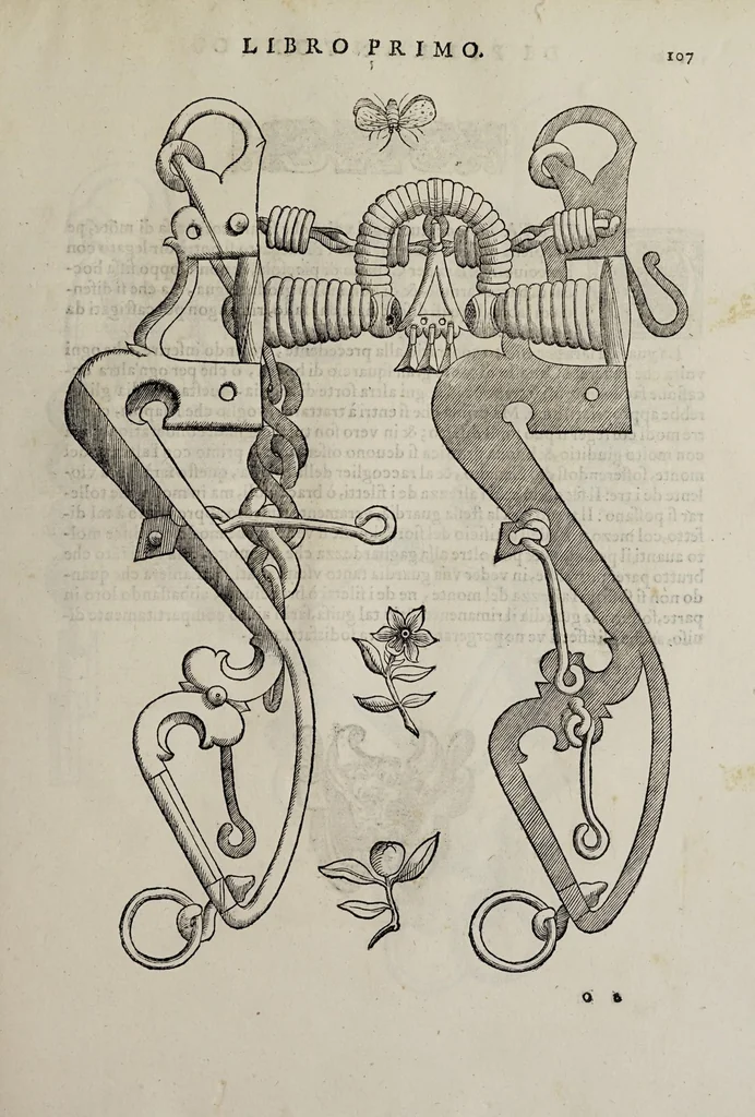 An illustration from Cauallo frenato, 1602, leaf 283
