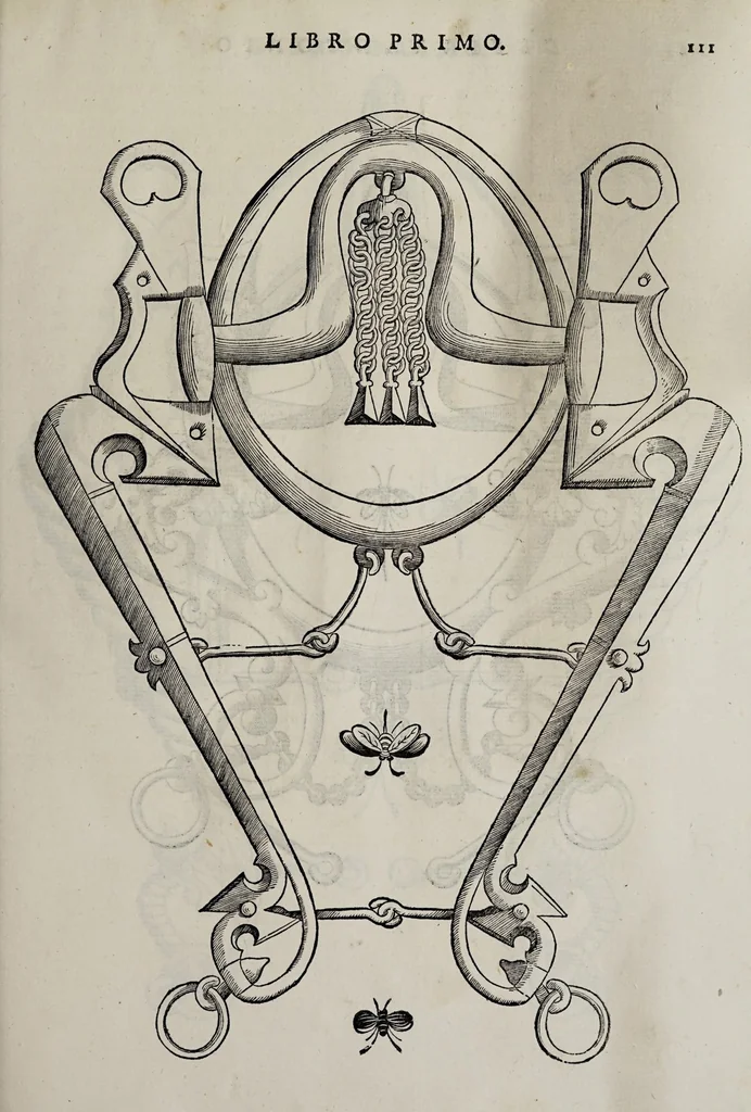 An illustration from Cauallo frenato, 1602, leaf 287