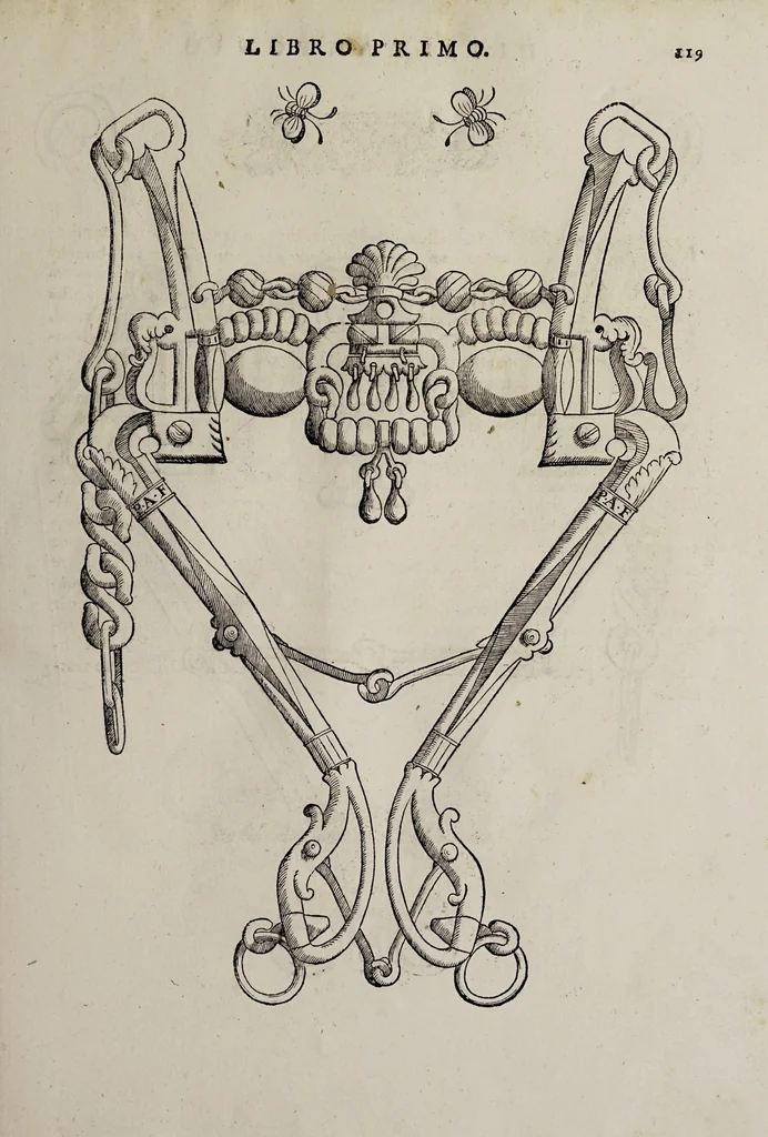 An illustration from Cauallo frenato, 1602, leaf 295