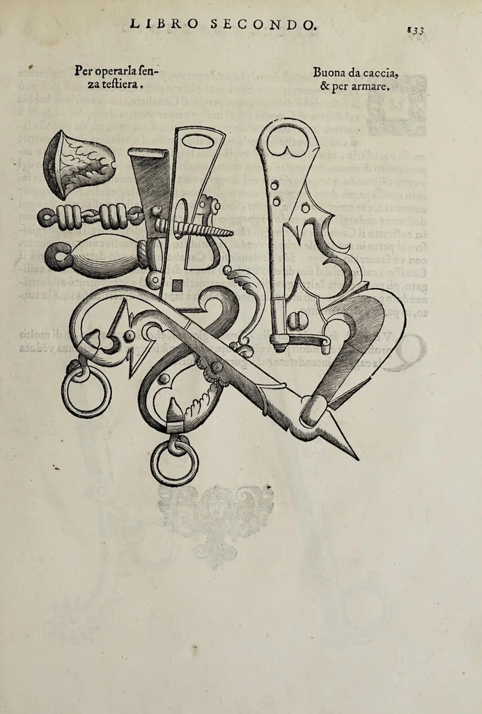 An illustration from Cauallo frenato, 1602, leaf 309