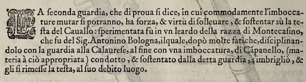 An illustration from Cauallo frenato, 1602, leaf 316