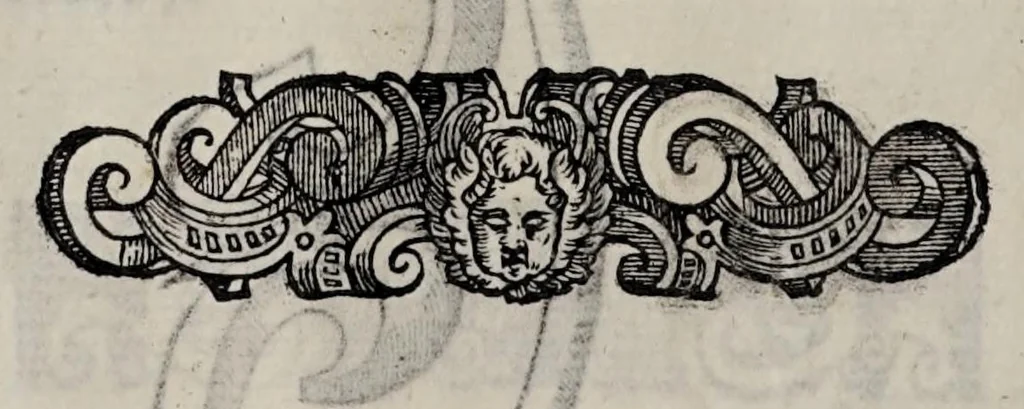An illustration from Cauallo frenato, 1602, leaf 316
