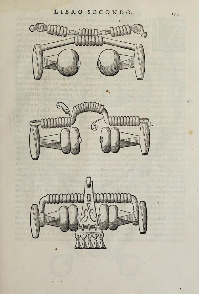 An illustration from Cauallo frenato, 1602, leaf 349