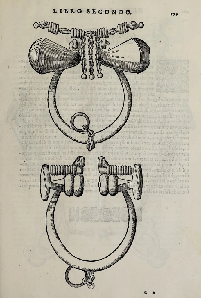An illustration from Cauallo frenato, 1602, leaf 355