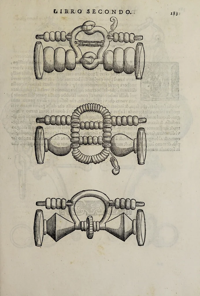 An illustration from Cauallo frenato, 1602, leaf 359